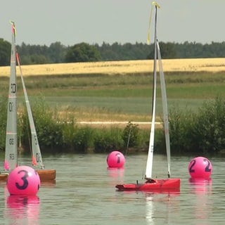 Regatta mit ferngesteuerten Segelbooten