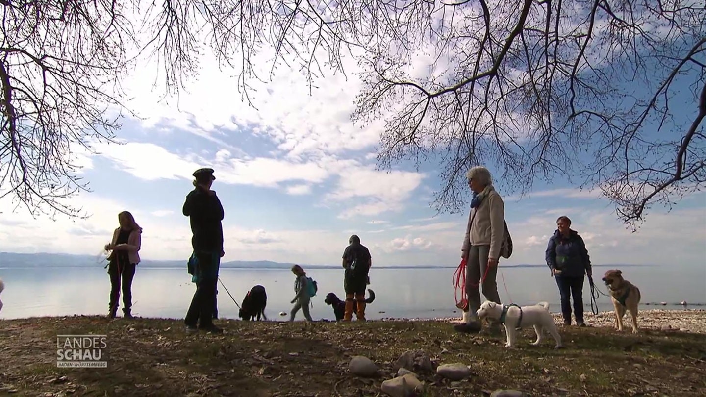 Soko Wuff am Bodensee