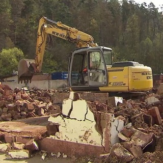 Bagger reißt Ponyhof ab