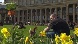 Mann mit Huhn in Park