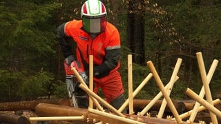 Vorbereitung auf die Waldarbeiter WM