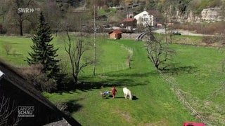 benötigte Fläche für Landesgartenschau