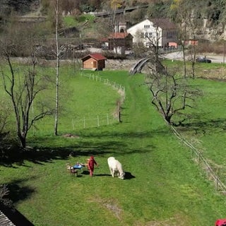 benötigte Fläche für Landesgartenschau