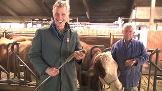 Alexander steht mit Equipment neben einer Kuh