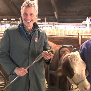 Alexander steht mit Equipment neben einer Kuh