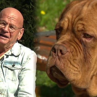 Rentner Uwe und seine Bordeauxdogge Eddy