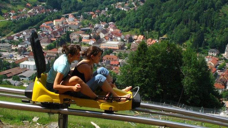 Hasenhorn-Rodelbahn in Todtnau