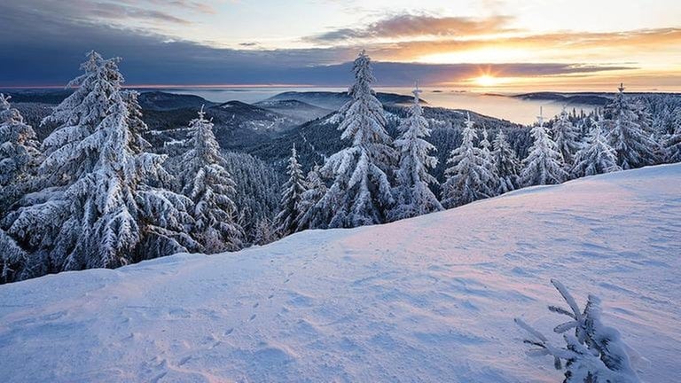 Hornisgrinde im Schwarzwald