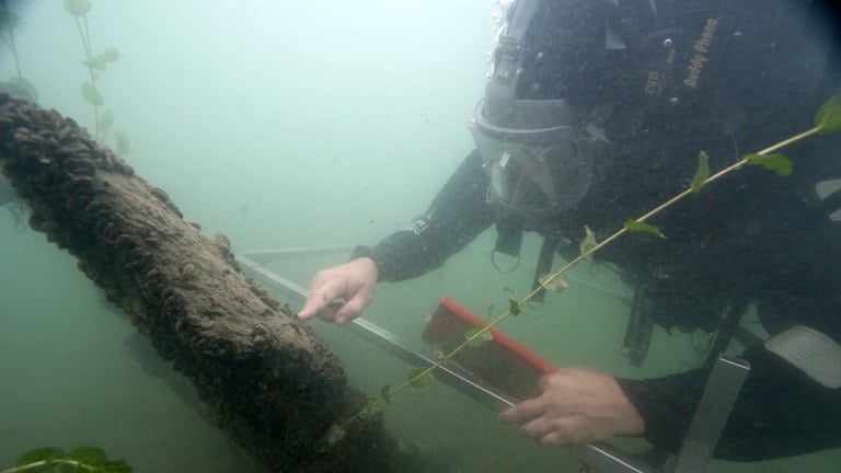 Taucher auf dem Grund des Bodensee am Wrack des Raddampfers "Jura"