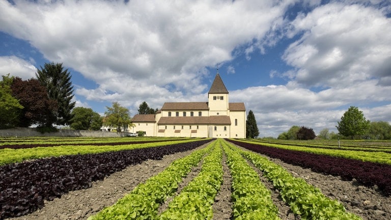 Insel Reichenau