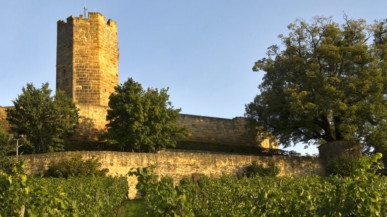 Burg Steinsberg