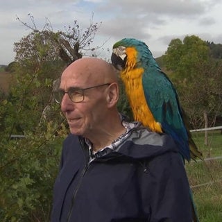 Hubert und Gelbbrust-Ara Richie wandern