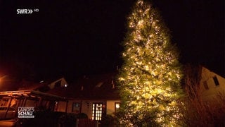 Tübingens schönster Weihnachtsbaum