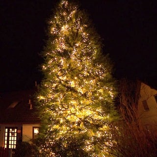 Tübingens schönster Weihnachtsbaum