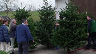 Großfamilie Lürig holen sich einen Weihnachtsbaum