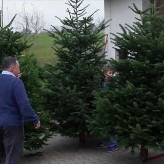 Großfamilie Lürig holen sich einen Weihnachtsbaum