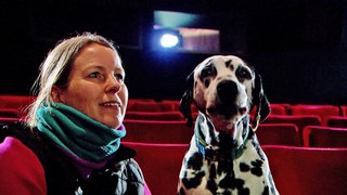 Hund sitzt mit Frau im Kino. Dalmatiner Connor aus Dietenheim spielt in dem aktuellen Kinofilm "Cranko" den Hund und stetigen Begleiter der Titelfigur John Cranko. 