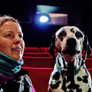 Hund sitzt mit Frau im Kino. Dalmatiner Connor aus Dietenheim spielt in dem aktuellen Kinofilm "Cranko" den Hund und stetigen Begleiter der Titelfigur John Cranko. 