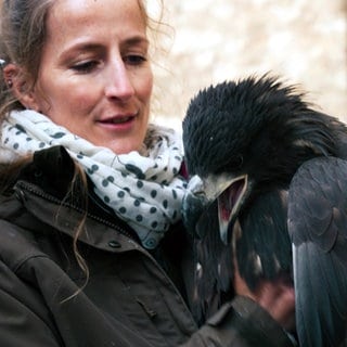 Nathalie ist Oberfalknerin auf Burg Guttenberg. Sie hat einen Greifvogel auf ihrem Arm sitzen.