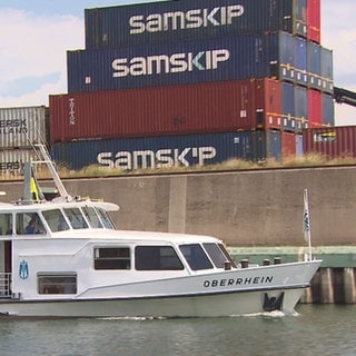 Container am Ufer des Rheinhafens Mannheim