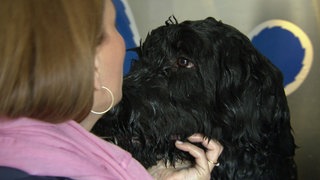 Landesschau-Reporterin Kristin Haub und ein nasser Hund