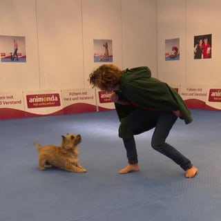 Hundetrainerin Carmen Schmid und Terrier Frodo