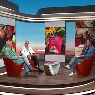 Studiogäste TV-Koch-Ehepaar Martina und Moritz