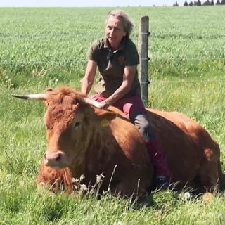 Silke Fischer streichelt eine Kuh auf der Weide