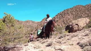 Zwei Personen reiten auf Pferden