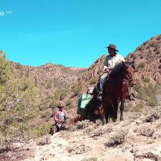 Zwei Personen reiten auf Pferden