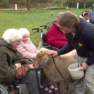 Vera Rudloff mit Schaf