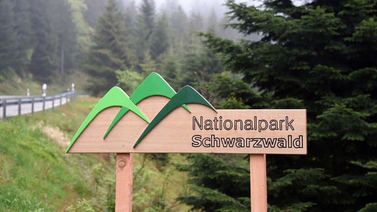 Ein Schild mit der Aufschrift "Nationalpark Schwarzwald" steht vor einem Waldstück