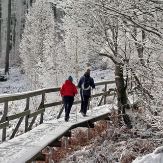 Zwei Menschen wandern auf einem Steg über ein Hochmoor im Hunsrück