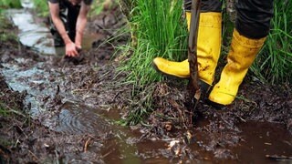 Gummistiefel sind ein Muss im Moor