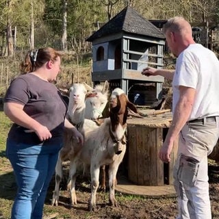 Ein Mann und eine Frau füttern Ziegen und weitere Tiere in einem Gehege