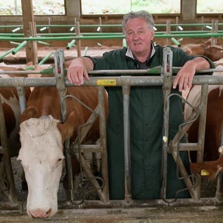 Tierarzt Dr. Jörg Bretzinger: "Mein Leben gehört der Kuh"