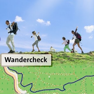 Wandercheck