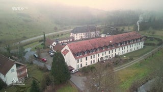 Reipoltskirchen in der Westpfalz umgeben von Pappelbäumen