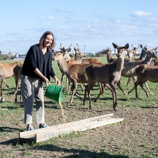 In Oberbayern züchtet Christine Huber gemeinsam mit ihrer Familie Rotwild. Die Tiere leben in einem so großen und vielseitigen Gelände, dass sie als „freilebend“ gelten.