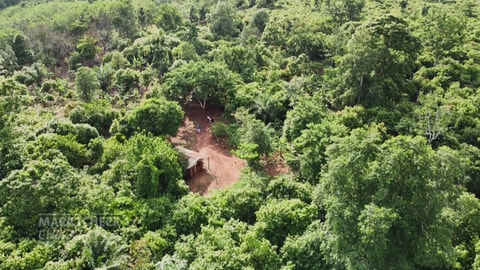 Eine Kakao-Plantage in Ghana von oben. Wie fair und nachhaltig ist die Schokolade von Lindt & Sprüngli?