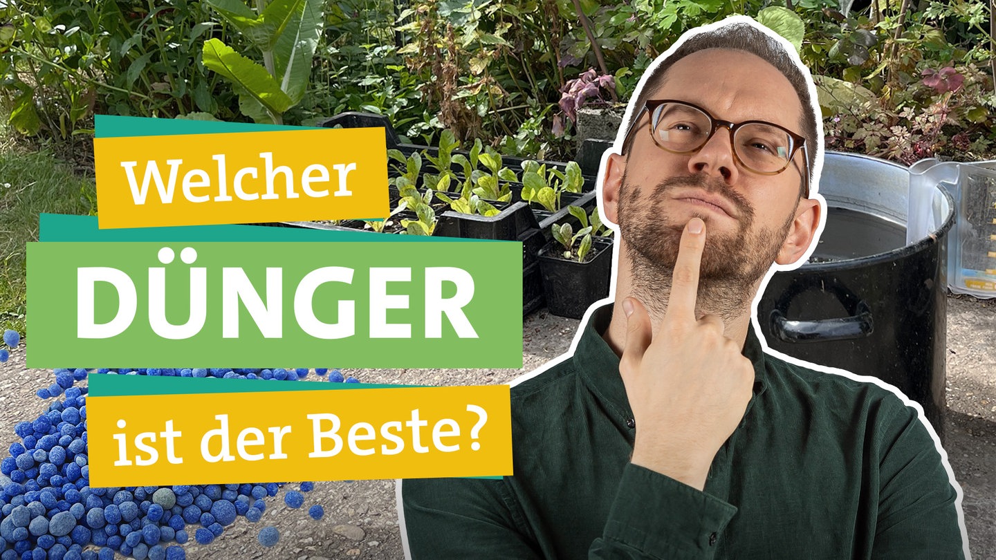 In der linken Bildhälfte sieht man Ökochecker Tobias Koch. Er fasst sich in fragender Geste mit der Hand an sein Kinn. Rechts neben ihm liest man 