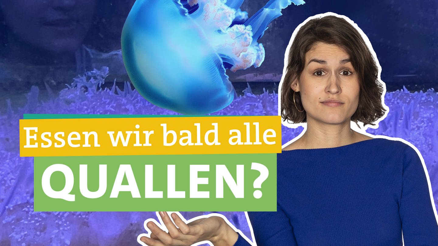 Ökocheckerin Katharina Röben checkt Quallen als Essen der Zukunft. In der rechten Bildhälfte schaut Ökocheckerin Katharina Röben skeptisch in die Kamera. Davor steht 