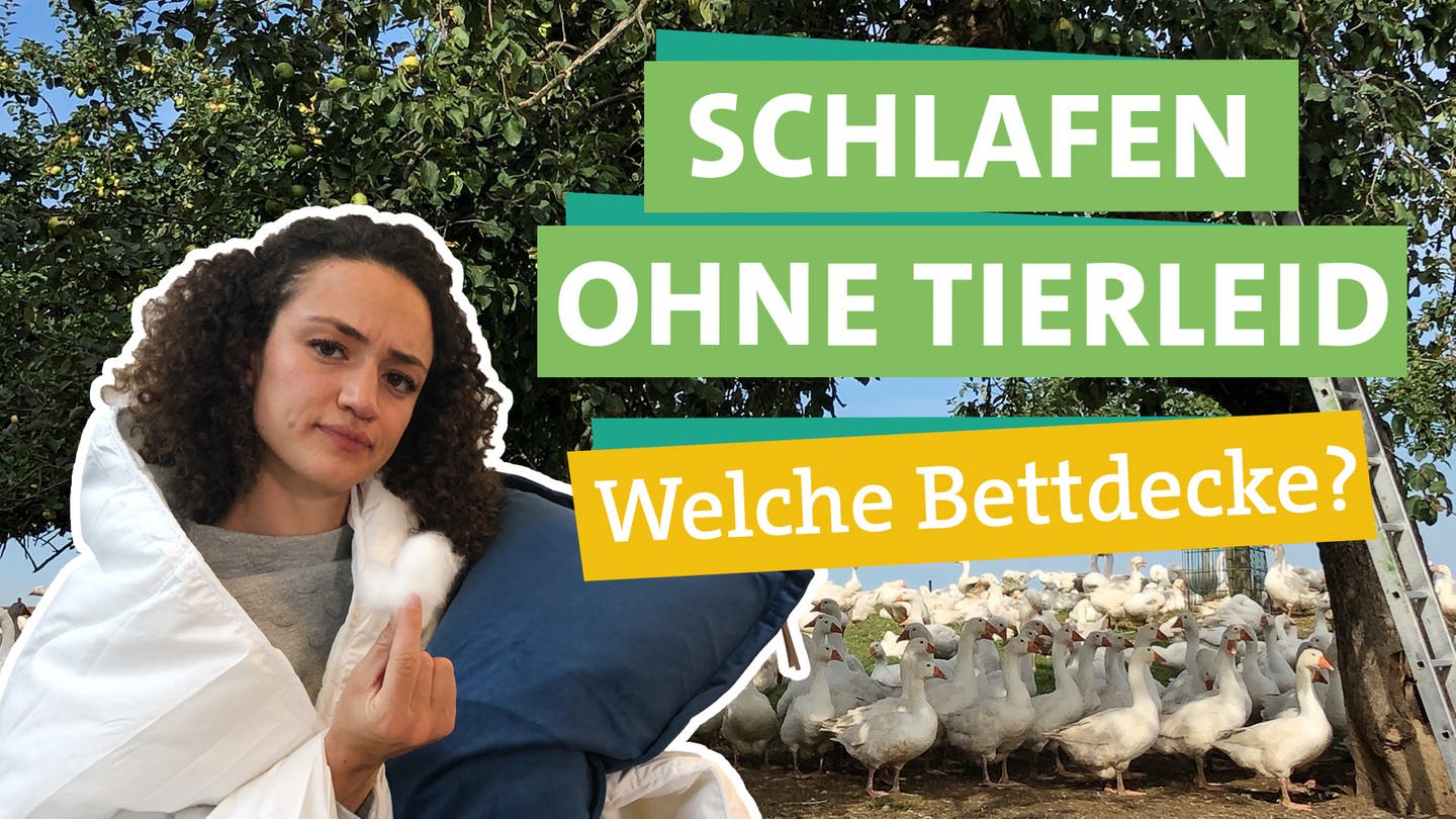 Ökocheckerin Maral Bazargani in der linken Bildhälfte schaut in die Kamera und ist in eine weiße Bettdecke gehüllt. In der rechten Hand hält sie ein dunkelblaues Kopfkissen. In der linken Hand hält sie einen kleinen Bausch Synthetik Füllung.