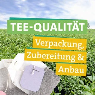 Tee - was ist die beste und nachhaltigste Wahl? In der linken Bildhälfte schaut Ökocheckerin Maral Bazargani herausfordernd in die Kamera und hält dabei in ihrer rechten Hand losen Tee und in ihrer linken Hand einen Teebeutel. In der rechten Bildhälfte steht unterlegt von farbigen Bändern "Tee-Qualität" "Verpackungen, Zubereitung & Anbau". Im Hintergrund ist ein Feld mit Teepflanzen. Im Mittelgrund sind zwei Teebeutel, die auf losem Tee liegen.