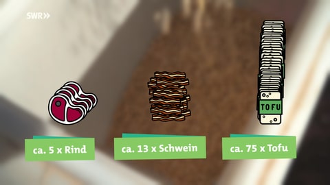 Auf dem Bild sind drei grüne Balken mit Emojis für Rindfleisch, Schweinefleisch und Tofu zu sehen. Verglichen wird, wie viel Soja für die Herstellung benötigt wird. Rund Fünf Portionen Rindfleisch, circa dreizehn Portionen Schweinefleisch und rund 75 Portionen Tofu lassen sich etwa aus zehn Kilo Soja und Getreide herstellen. Eine Portion entspricht 200 Gramm.