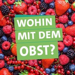 Endlich wieder Beerenzeit! Ob im Garten, auf dem Balkon oder im Supermarkt – Beeren gibt es momentan fast überall. Wie macht man das Obst möglichst lange und lecker haltbar? In der rechten Bildhälfte hält Ökochecker Panagiotis Fotiadis einen Korb mit Himbeeren in den Händen. Er schaut fragend in die Kamera. Davor steht "Wohin mit dem Obst?" geschrieben, jeweils unterlegt von farbigen Bändern. Im Hintergrund sind viele verschiedene Beeren durcheinander gemischt zu sehen.