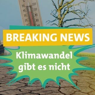 Ökochecker Tobias Koch fasst sich fragend an den Kopf. Daneben steht Breaking News - Klimawandel gibt es nicht. Im Hintergrund sind ein ausgetrockneter Boden, ein dürrer Baum, ein Kraftwerk und ein Termometer mit ansteigender Temeperatur zu sehen.