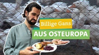 Im Vordergrund sieht man Moderator Joti. Er schaut skeptisch in die Kamera und hält in der Hand einen Teller mit einem Gänsebraten drauf. Vor ihm steht geschrieben: „Billige Gans aus Osteuropa“. Im Hintergrund sieht man Gänse hinter einem Zaun.