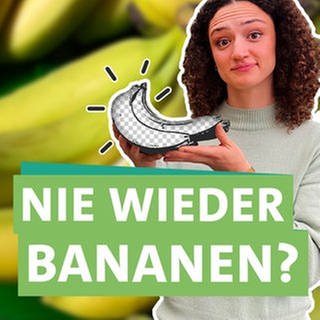 Ökocheckerin Maral Bazargani fragt sich, ob wir Bananen auch noch zukünftig im Supermarkt finden, und wie wir sie heute schon nachhaltiger kaufen können. Ökocheckerin Maral Bazargani rechts im Bild schaut in die Kamera. Sie hält ein Bund Bananen in den Händen, welches durch Bildbearbeitung grau-weiß kariert ist. Im Vordergrund steht die Überschrift, unterlegt von grünen Bändern "NIE WIEDER BANANEN?". Im Hintergrund sind mehrere Bananen zu erkennen.