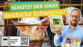 In der rechten Bildhälfte ist Ökochecker Tobias Koch zu sehen. Er schaut kritisch und hält zwei Packungen Schweinefleisch in den Händen. Links neben ihm ist das neue staatliche Tierhaltungskennzeichen abgebildet. Oben steht geschrieben: „Schützt der Staat deutsche Schweine?“, jeweils unterlegt von farbigen Bändern. Im Hintergrund ist ein Schwein zu sehen, das hinter Gitterstäben hervorguckt.